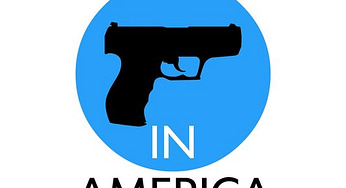 Gun Ownership Vs Crime